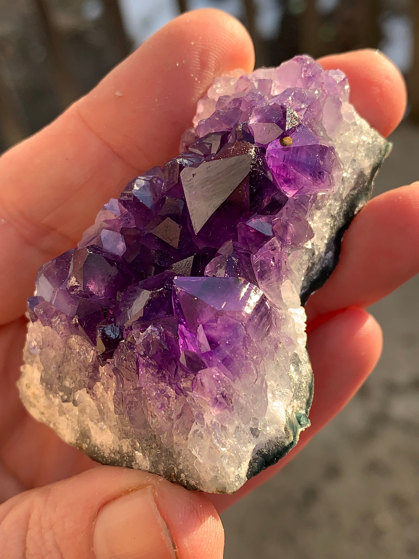 Uruguayan Amethyst cluster #1