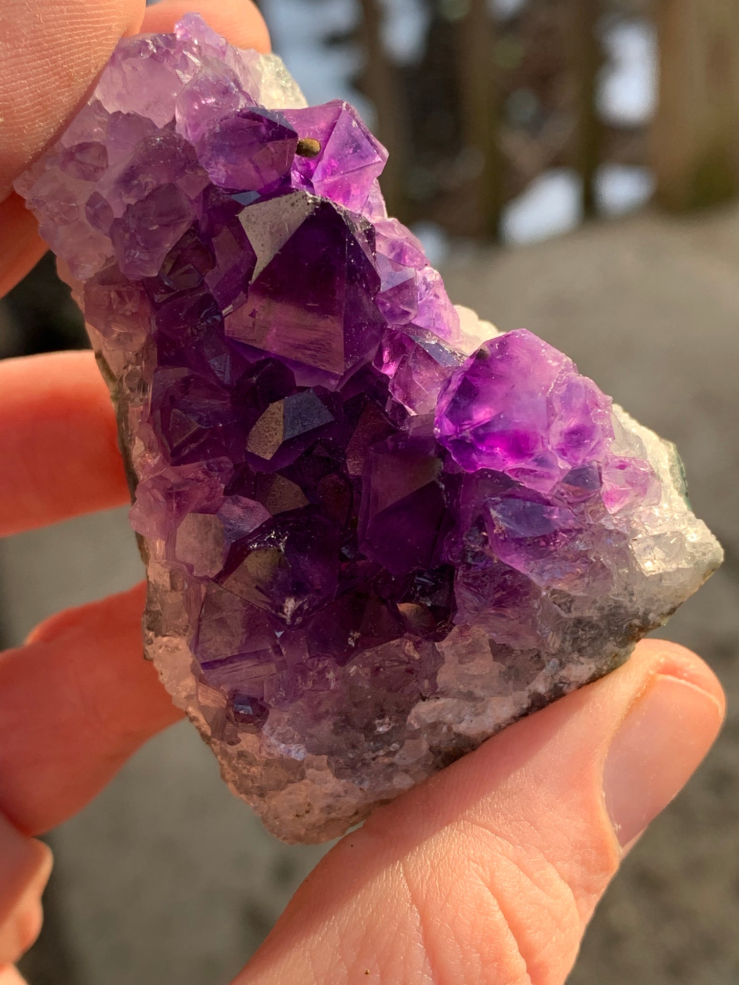 Uruguayan Amethyst cluster #1